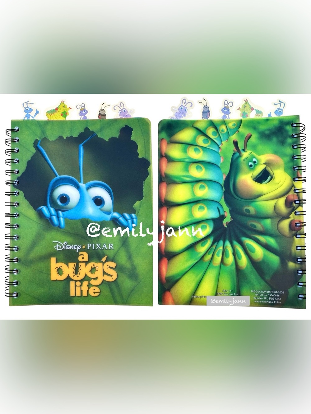 Disney The Bug’s🌿Life Journal
